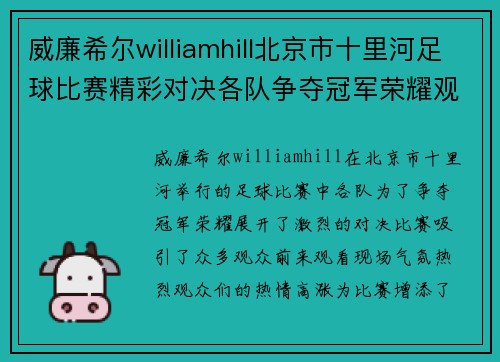 威廉希尔williamhill北京市十里河足球比赛精彩对决各队争夺冠军荣耀观众热情高涨